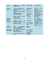 Referāts 'Sastrēgumi Rīgā - iespējamie risinājumi un to analīze', 16.