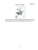 Referāts 'Sastrēgumi Rīgā - iespējamie risinājumi un to analīze', 24.