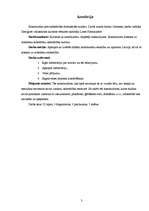 Referāts 'Kontrkultūra un sabiedrības dominējošā kultūra', 3.