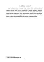 Referāts 'Kontrkultūra un sabiedrības dominējošā kultūra', 10.