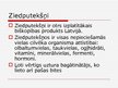 Prezentācija 'Biškopības produkti un patēriņš', 5.