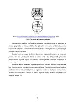 Referāts 'Metālapstrāde', 7.