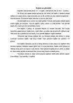 Referāts 'Kaķi', 5.