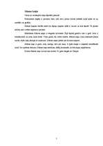 Referāts 'Kaķi', 7.