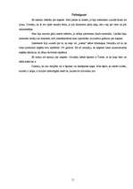 Referāts 'Kaķi', 11.