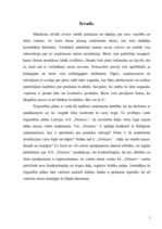 Referāts 'Uzņēmuma a/s "Dzintars" darbības analīze', 2.