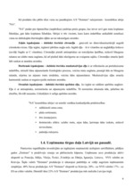 Referāts 'Uzņēmuma a/s "Dzintars" darbības analīze', 6.