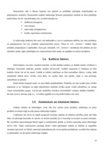 Referāts 'Uzņēmuma a/s "Dzintars" darbības analīze', 10.