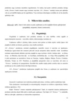 Referāts 'Uzņēmuma a/s "Dzintars" darbības analīze', 12.