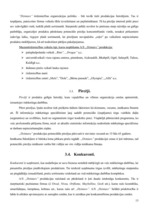 Referāts 'Uzņēmuma a/s "Dzintars" darbības analīze', 13.