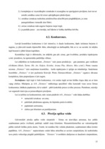 Referāts 'Uzņēmuma a/s "Dzintars" darbības analīze', 15.