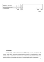 Referāts 'Uzņēmuma a/s "Dzintars" darbības analīze', 20.