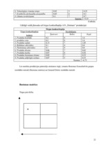 Referāts 'Uzņēmuma a/s "Dzintars" darbības analīze', 22.