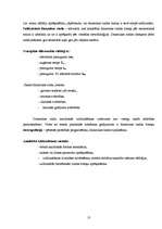 Referāts 'Solārija "Lanika" ieņēmumu prognozēšana 2007.gadam', 13.