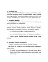 Konspekts 'Kultūras mārketings, tā nozīme un sastāvdaļas', 6.