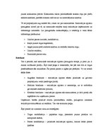 Konspekts 'Kultūras mārketings, tā nozīme un sastāvdaļas', 12.