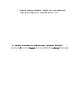 Konspekts 'Kultūras mārketings, tā nozīme un sastāvdaļas', 13.