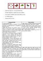 Paraugs 'Integrētās rotaļnodarbības plāns', 3.