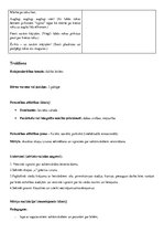 Paraugs 'Integrētās rotaļnodarbības plāns', 8.