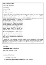 Paraugs 'Integrētās rotaļnodarbības plāns', 10.