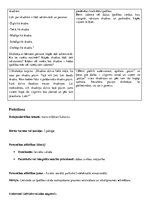 Paraugs 'Integrētās rotaļnodarbības plāns', 12.