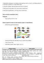 Paraugs 'Integrētās rotaļnodarbības plāns', 13.