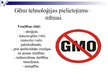Prezentācija 'Augu ģenētiskā modificēšana', 10.
