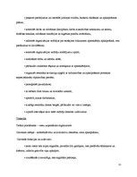 Prakses atskaite 'Prakses atskaite. Restorāns "Sumo"', 13.