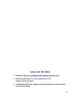 Prakses atskaite 'Prakses atskaite. Restorāns "Sumo"', 34.