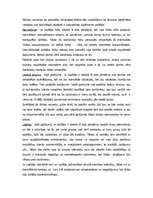 Referāts 'Morālās situācijas analīze', 6.