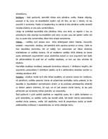 Referāts 'Morālās situācijas analīze', 8.