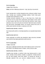 Prakses atskaite 'PEDAGOĢISKĀ PROCESA VĒROJUMU PRAKSE pirmsskolā un sākumsskolā', 21.