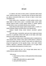 Diplomdarbs 'Individuālā uzņēmuma G nākotnes attīstības iespējas', 3.