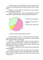 Diplomdarbs 'Individuālā uzņēmuma G nākotnes attīstības iespējas', 6.