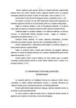 Diplomdarbs 'Individuālā uzņēmuma G nākotnes attīstības iespējas', 11.