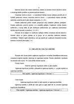 Diplomdarbs 'Individuālā uzņēmuma G nākotnes attīstības iespējas', 13.