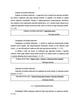 Diplomdarbs 'Individuālā uzņēmuma G nākotnes attīstības iespējas', 15.