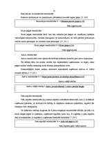 Diplomdarbs 'Individuālā uzņēmuma G nākotnes attīstības iespējas', 18.