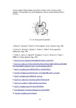 Konspekts 'Referāts fizikā', 10.