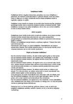 Referāts 'Cigaretes vilinājums', 4.