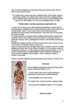 Referāts 'Cigaretes vilinājums', 6.