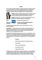 Referāts 'Cigaretes vilinājums', 19.