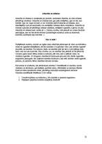 Referāts 'Cigaretes vilinājums', 22.