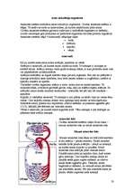 Referāts 'Cigaretes vilinājums', 23.