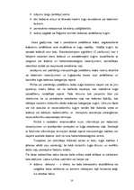 Diplomdarbs 'Kuģošana un kuģu vadīšana ledus apstākļos', 10.