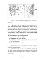 Diplomdarbs 'Kuģošana un kuģu vadīšana ledus apstākļos', 12.