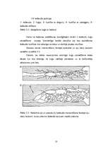 Diplomdarbs 'Kuģošana un kuģu vadīšana ledus apstākļos', 23.