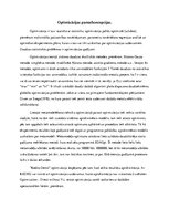 Eseja 'Optimizācijas pamatkoncepcijas', 1.