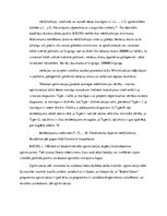 Eseja 'Optimizācijas pamatkoncepcijas', 2.