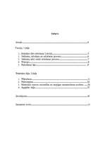 Referāts 'Ražošanas procesa organizācija', 1.